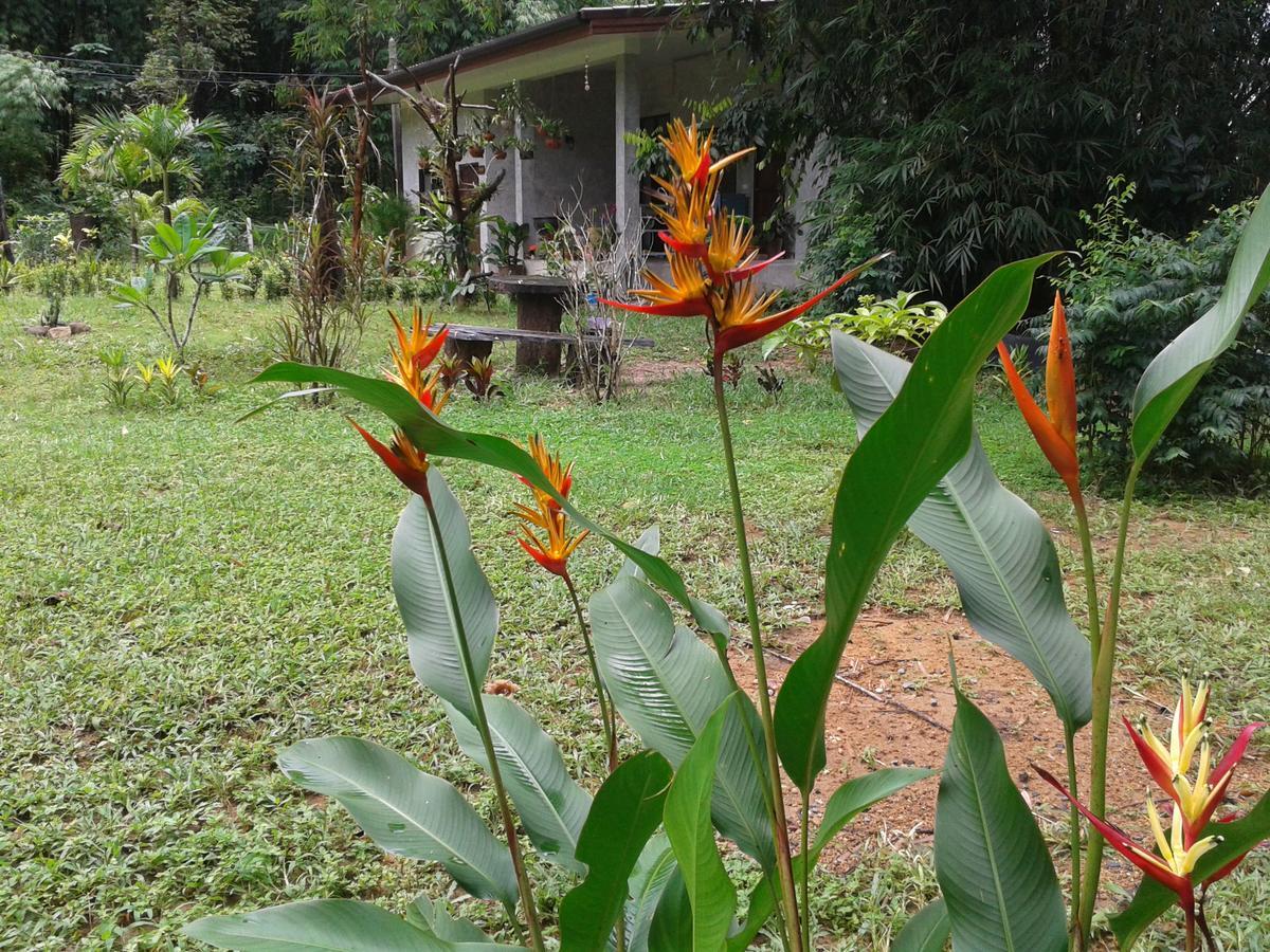 Nananuira Apartment And Room Khao Lak Exterior photo